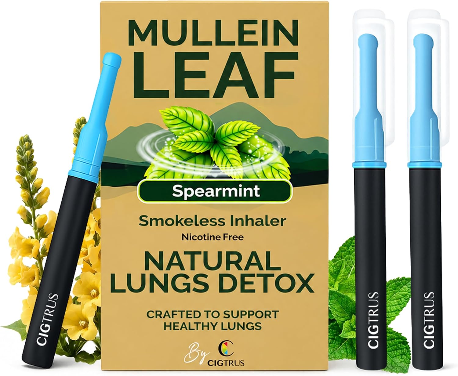 Natural Herbal Aroma Stick, Mullein Leaf Spearmint, 3 Pack