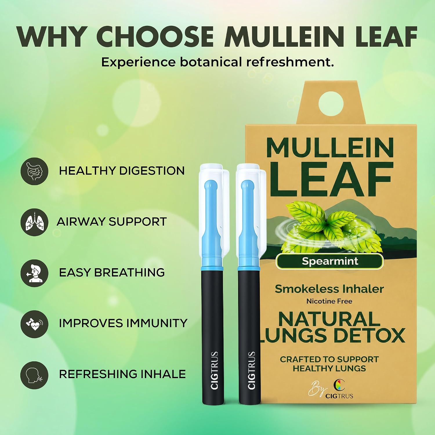 Natural Herbal Aroma Stick, Mullein Leaf Spearmint, 3 Pack